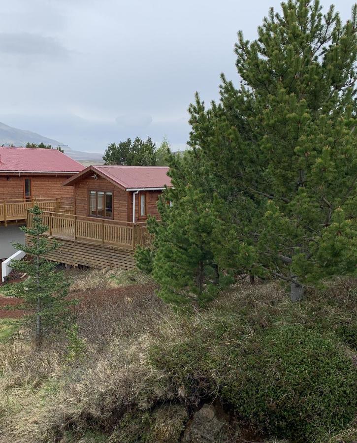 Cosy cottage-Golden circle Kerhraun Esterno foto